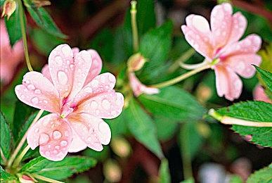 要被腾讯收购？育碧CEO强烈暗示正在做准备